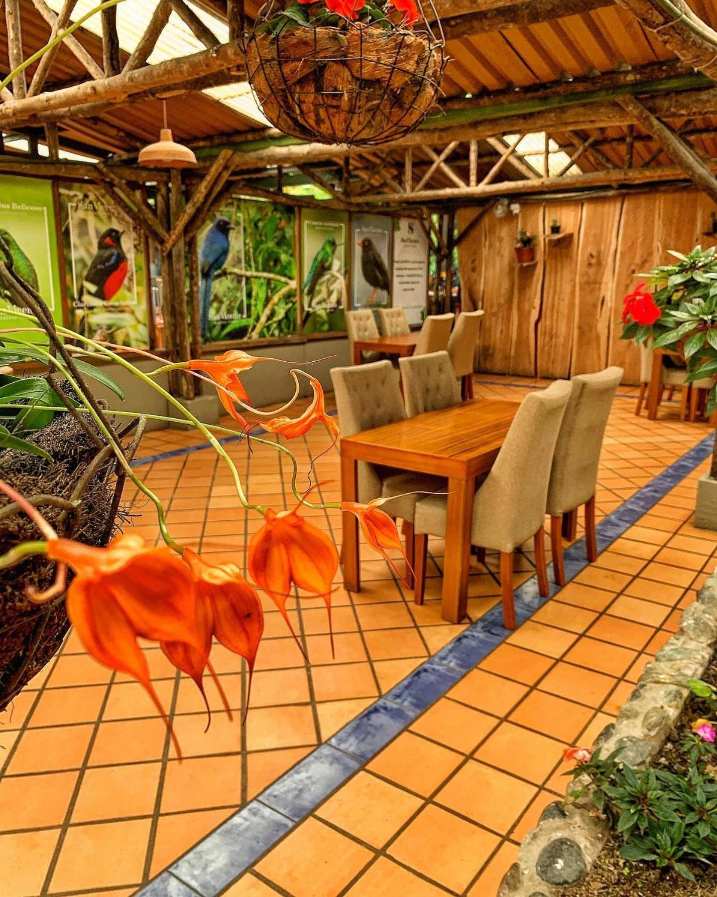Hotel Termales San Vicente サンタ・ロサ・デ・カバル エクステリア 写真